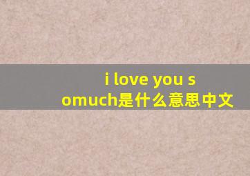 i love you somuch是什么意思中文